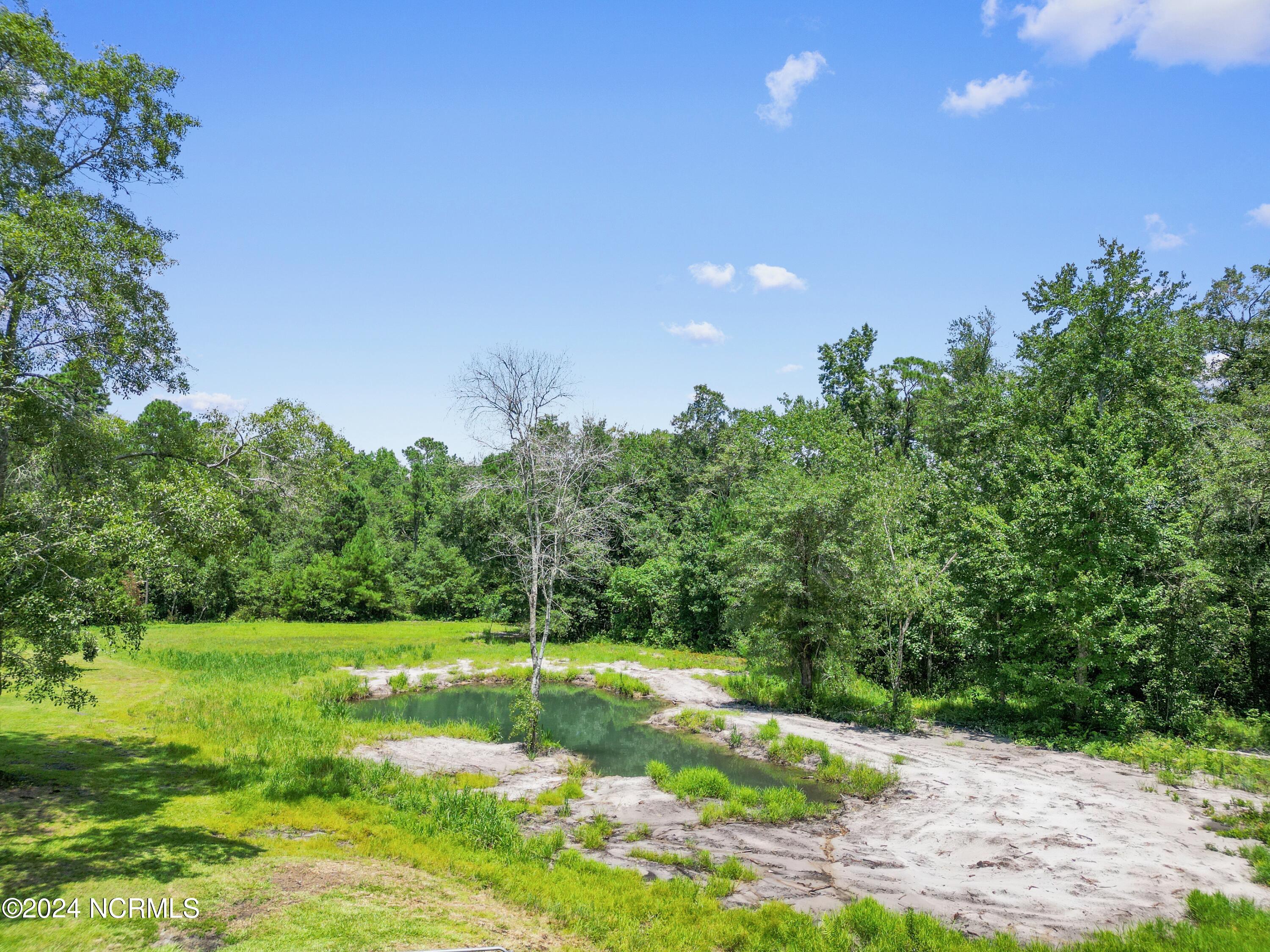 1736 Maco Road Northeast Leland, NC 28451 - Photo 51 of 52 Pond View