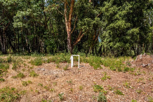 a garden view with a lake