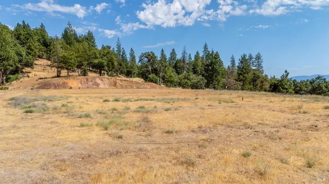 a view of a yard with trees in the background