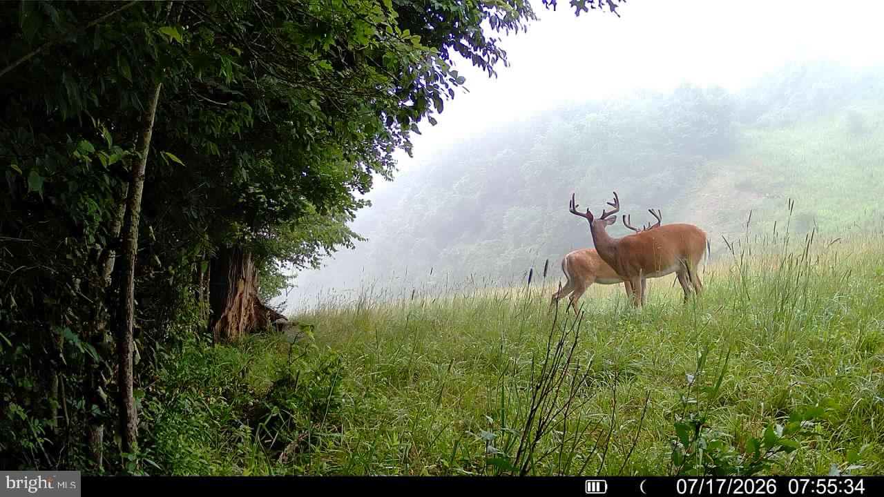552 Wilson Road Parker, PA 16049 - Photo 25 of 60 Gallery Image 25