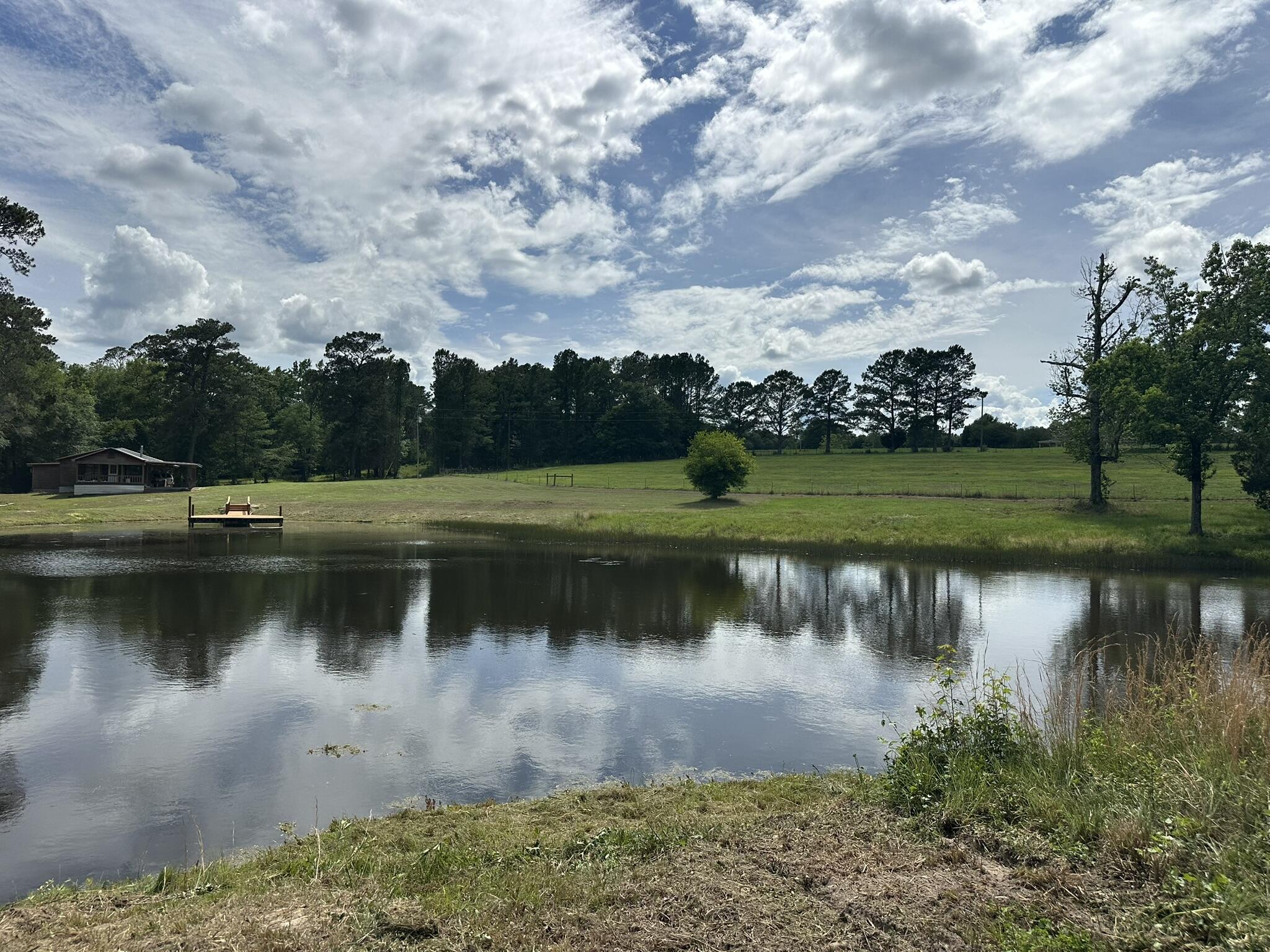 420 Gomillion Road Florala, AL 36442 - Photo 15 of 32 IMG_0004
