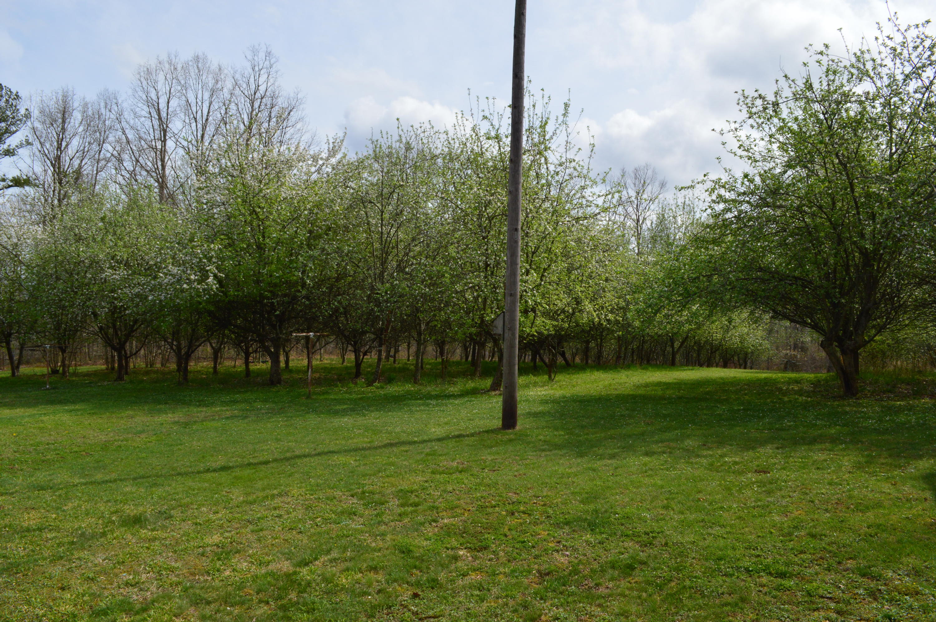 234 Stocker Road Palmer, TN 37365 - Photo 6 of 14 DSC_0761
