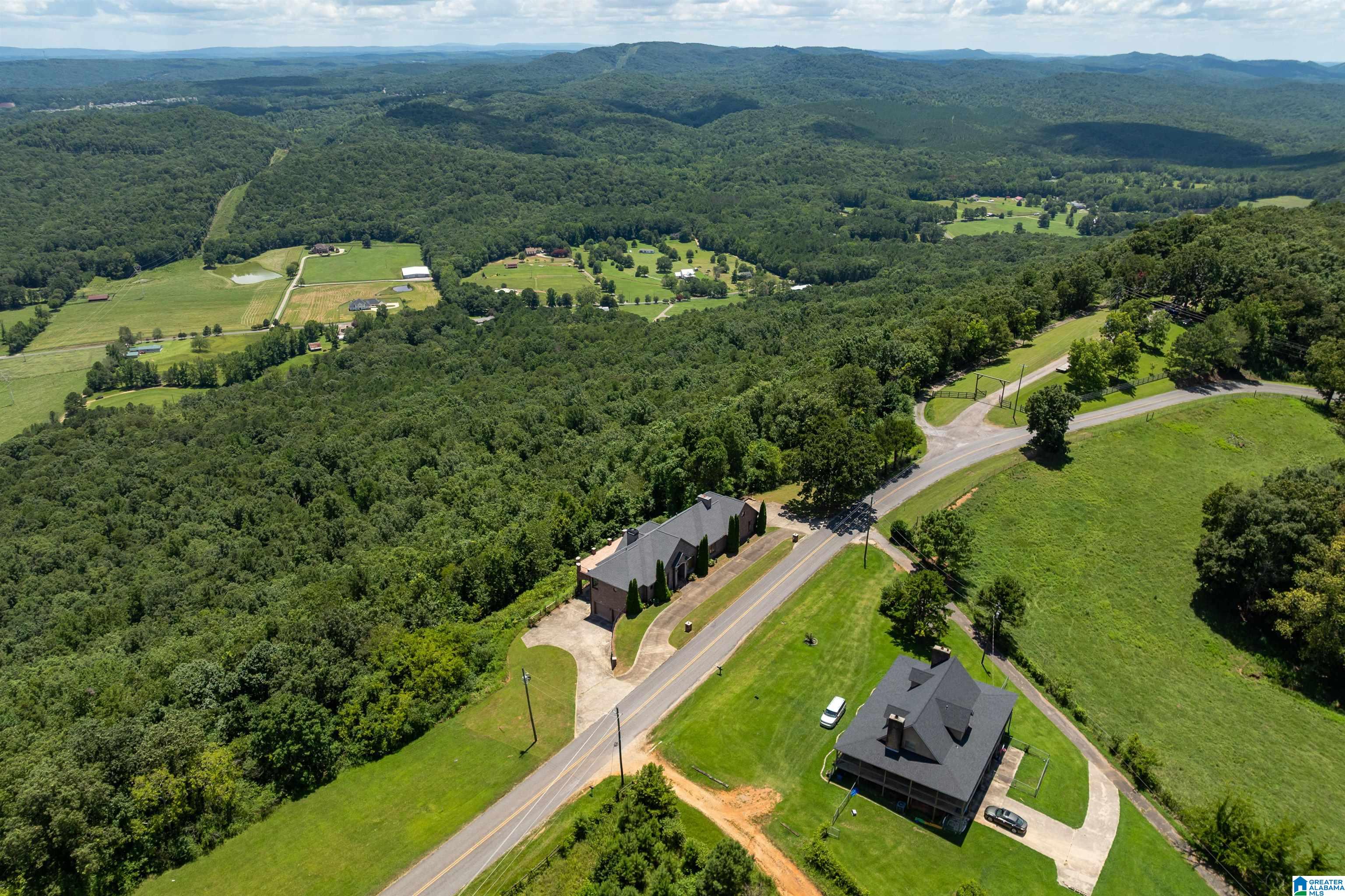8378 Pine Mountain Road Springville, AL 35146 - Photo 56 of 59
