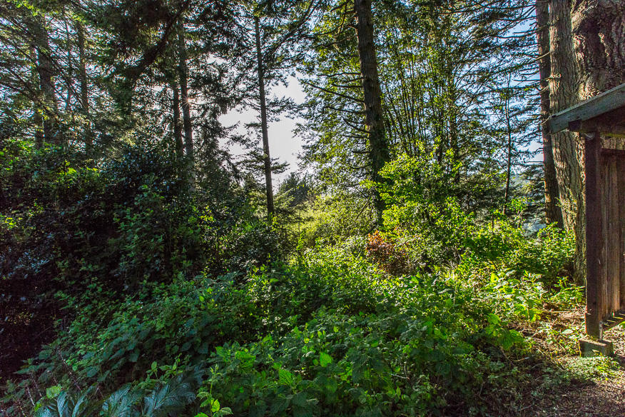 536 Warren Creek Road Arcata, CA 95521 - Photo 54 of 55