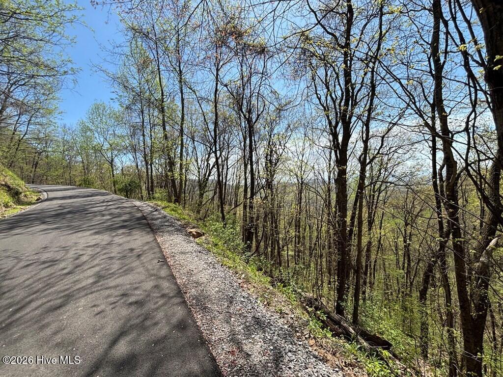 Lot 4 Outlook Road Murphy, NC 28906 - Photo 5 of 10