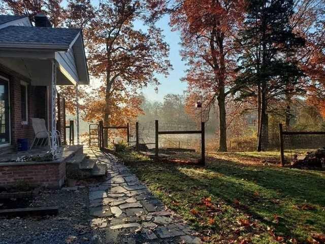 a backyard of a house with lots of green space