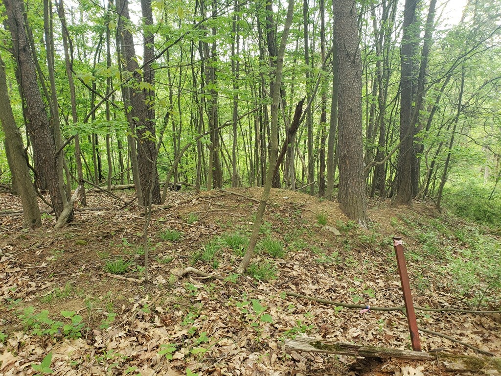Lot 5 Diehl Road Mount Union, PA 17066 - Photo 2 of 8 Gallery Image 2