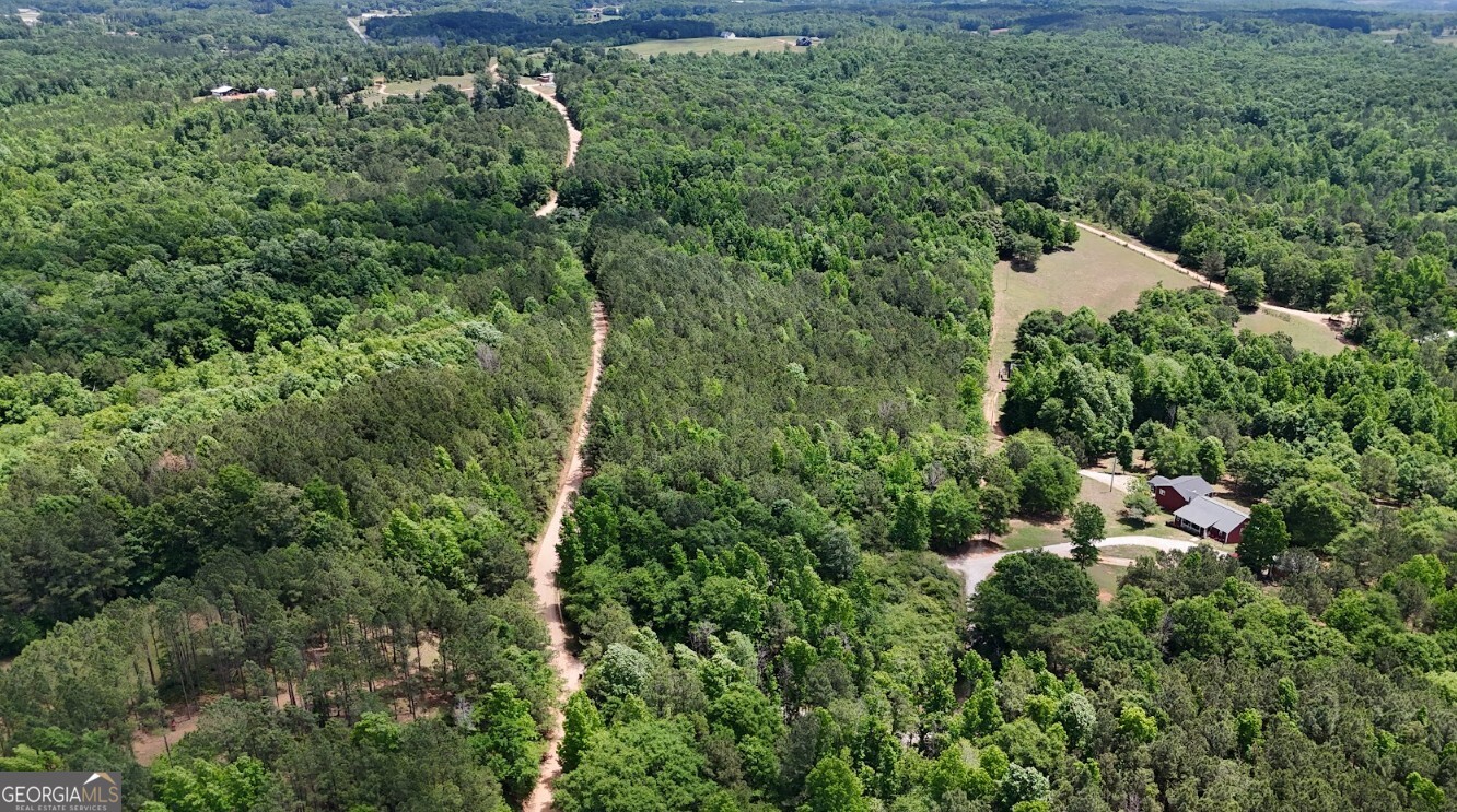0 Creek Road, Unit LOT 2 Ashland, AL 36251 - Photo 18 of 20