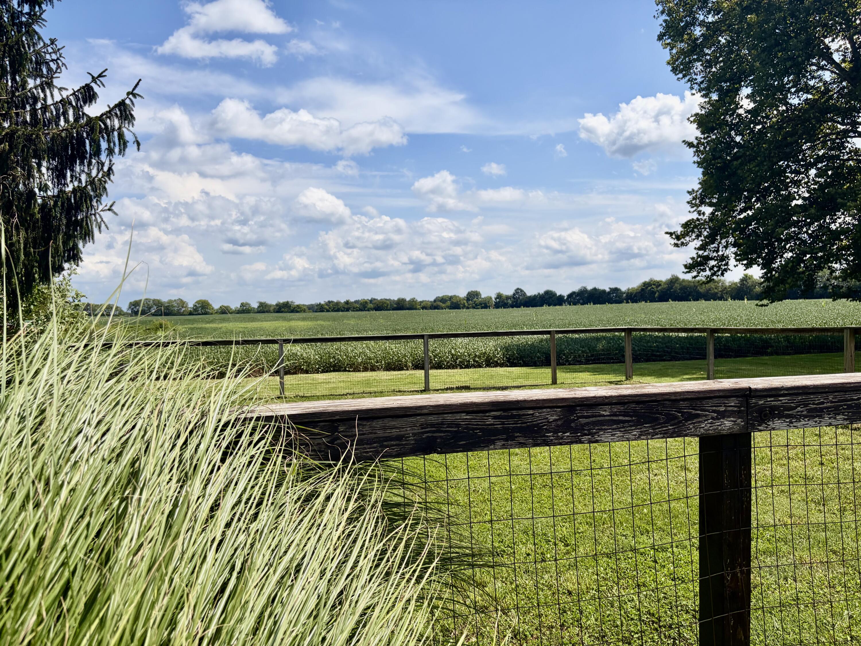 5606 Middle Urbana Road Springfield, OH 45502 - Photo 22 of 78 Overlooking fields!