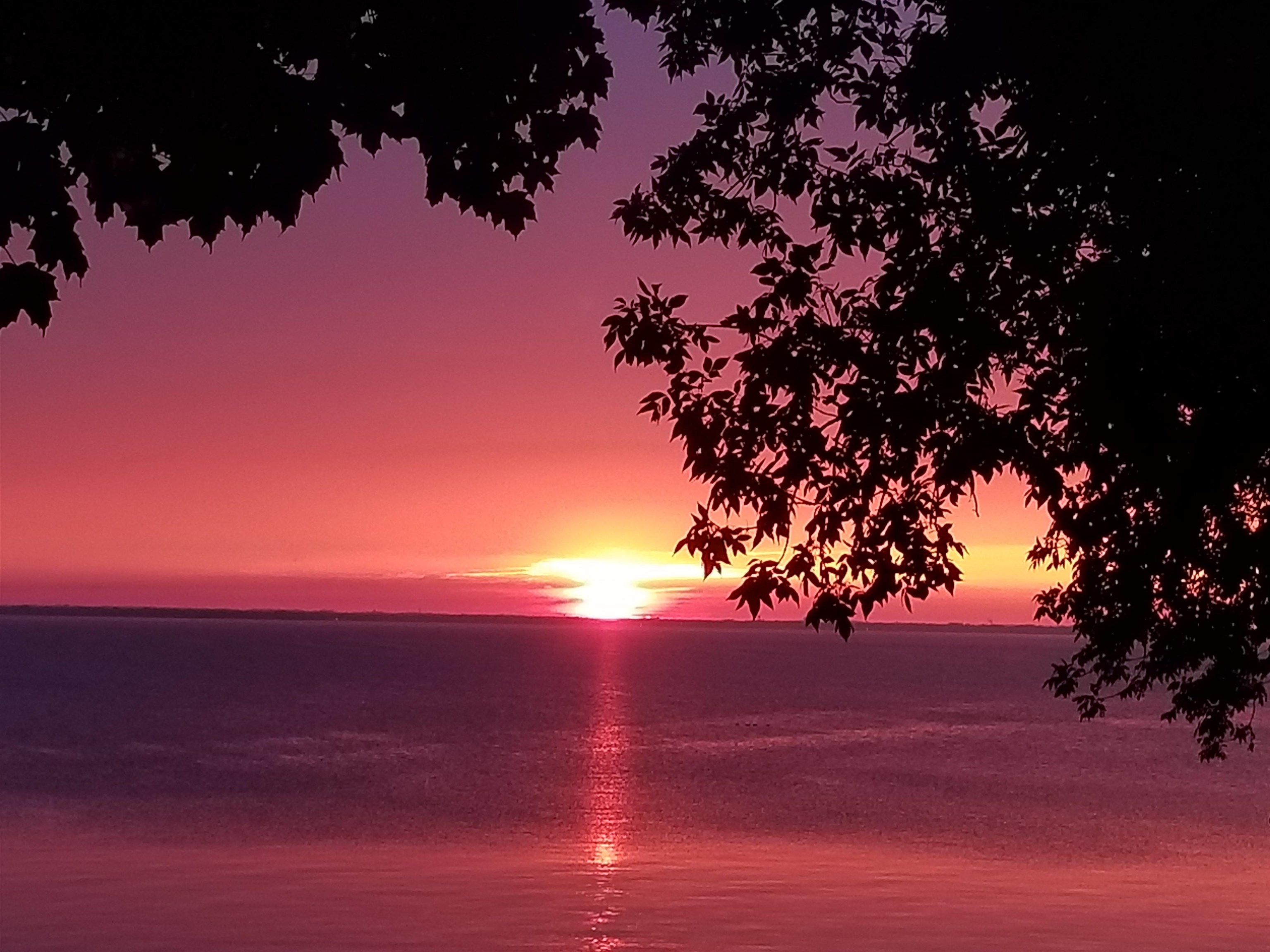 N6629 Harrison Road Hilbert, WI 54129 - Photo 47 of 50