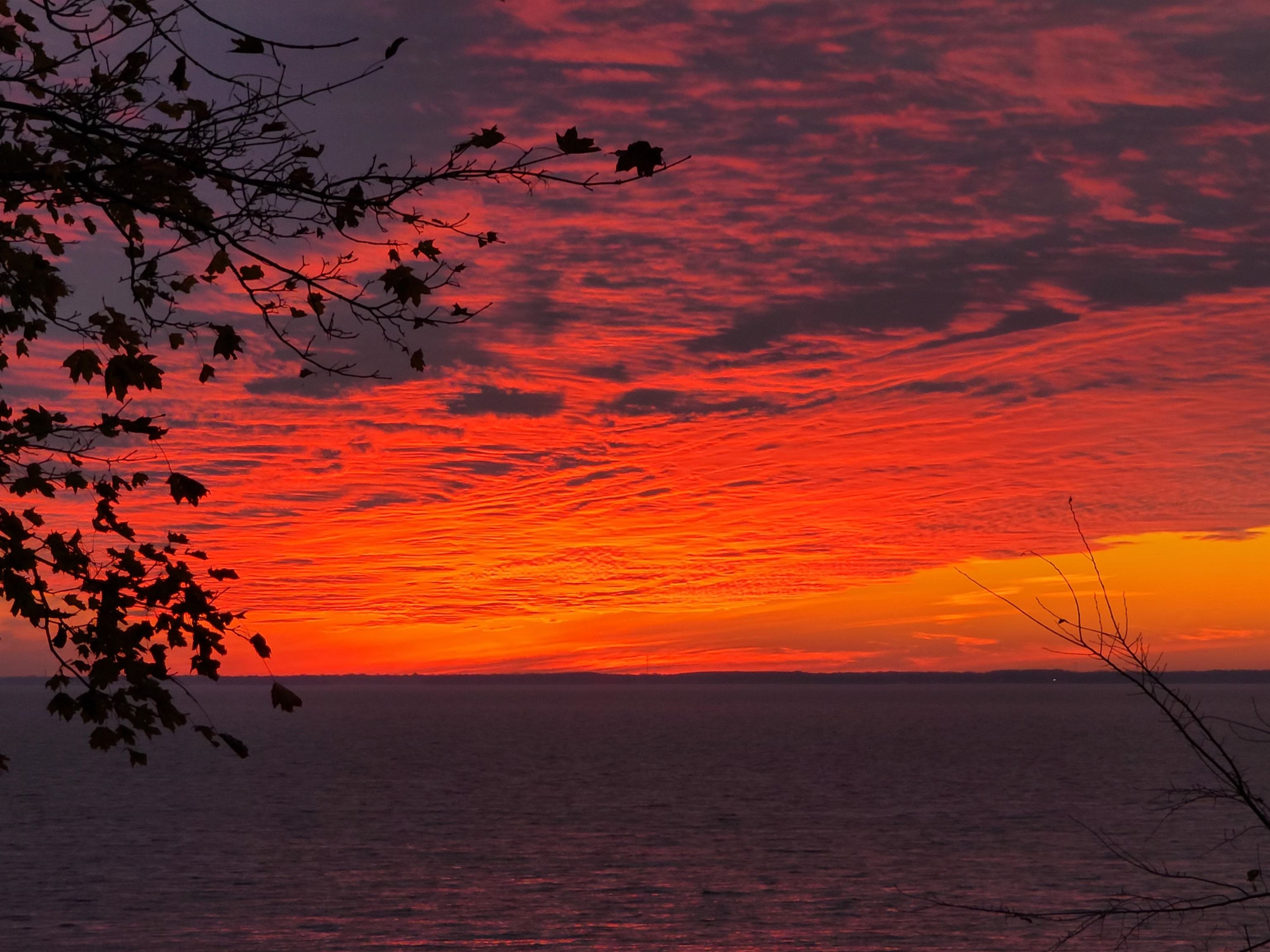 N6629 Harrison Road Hilbert, WI 54129 - Photo 48 of 50