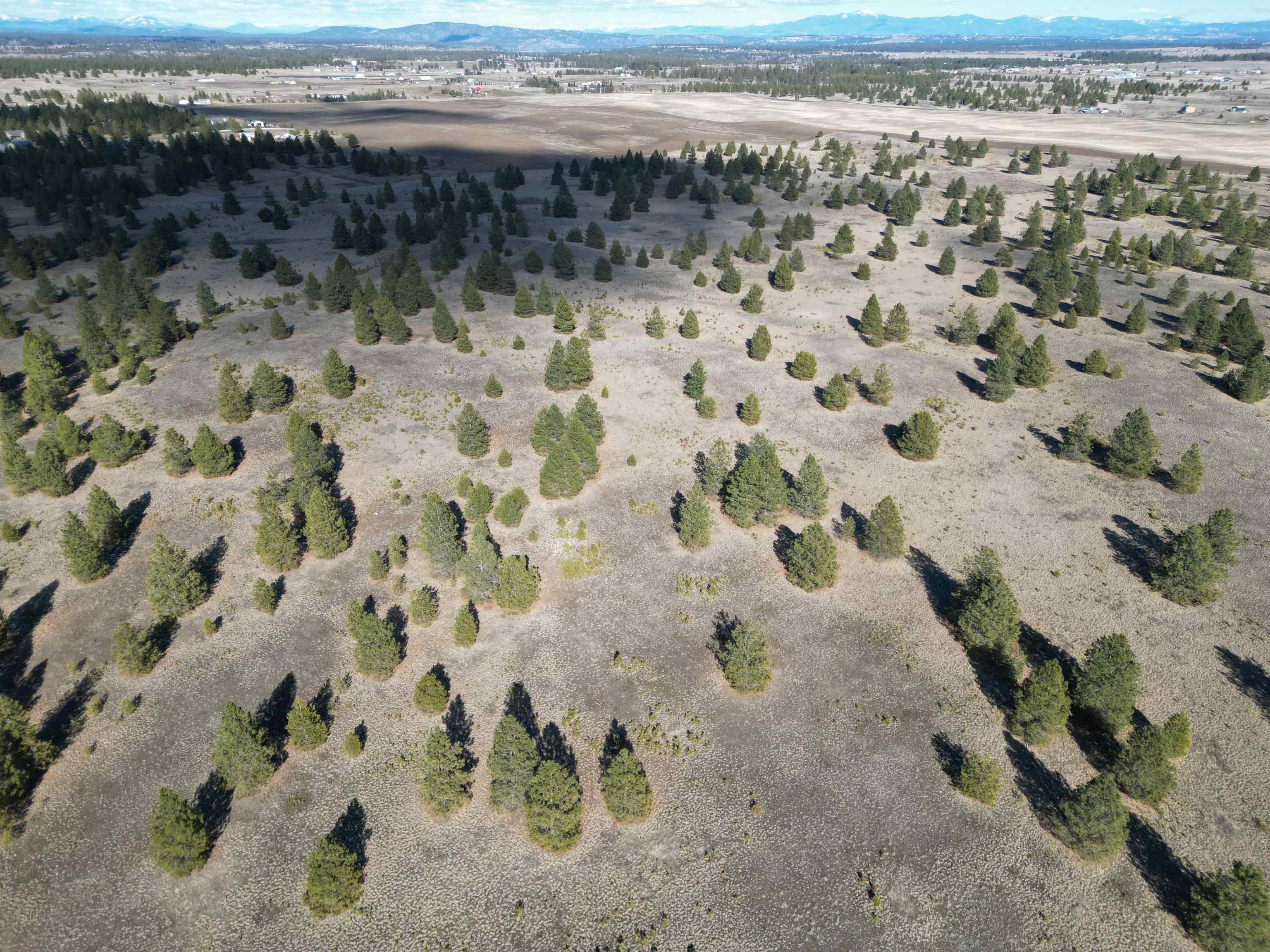 4-xx North Dover Road Medical Lake, WA 99022 - Photo 16 of 19