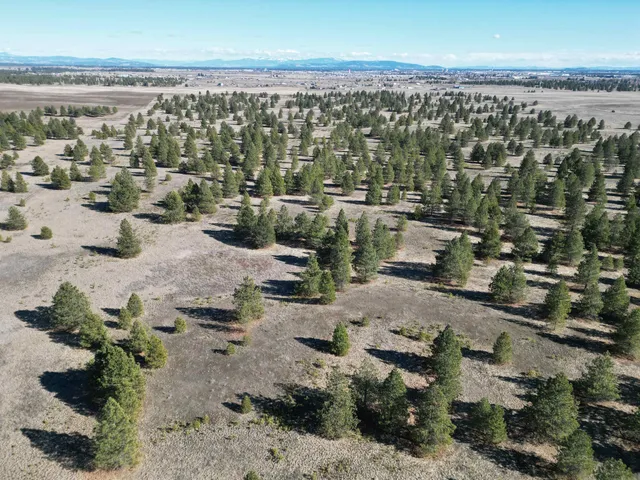 $1,500,000 | 4-xx North Dover Road, Medical Lake, WA 99022