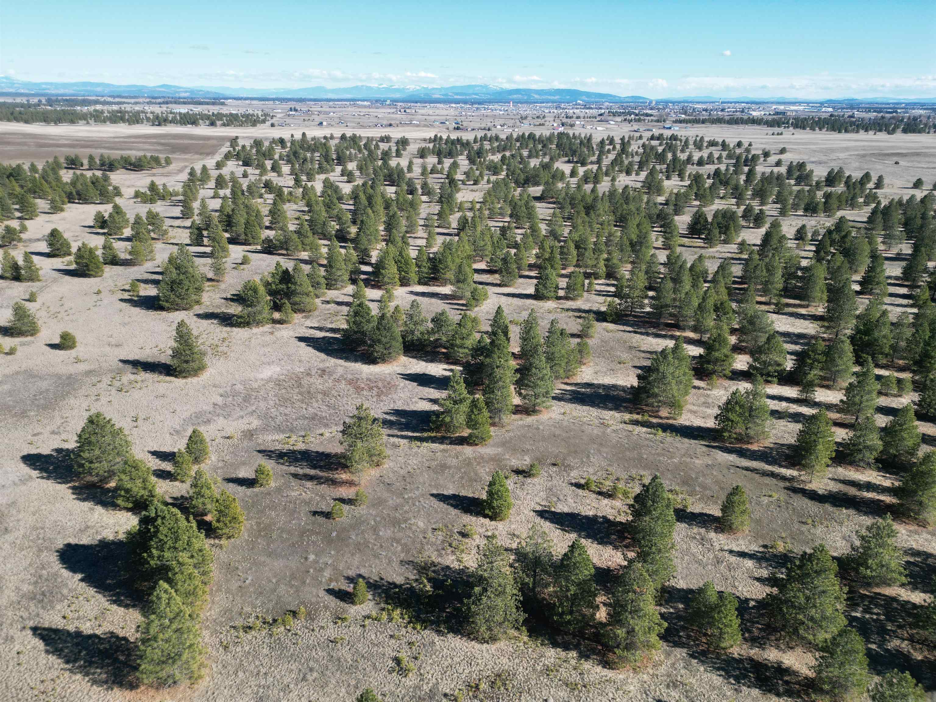 4-xx North Dover Road Medical Lake, WA 99022 - Photo 4 of 19