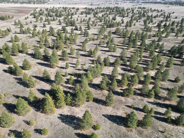 $1,500,000 | 4-xx North Dover Road, Medical Lake, WA 99022