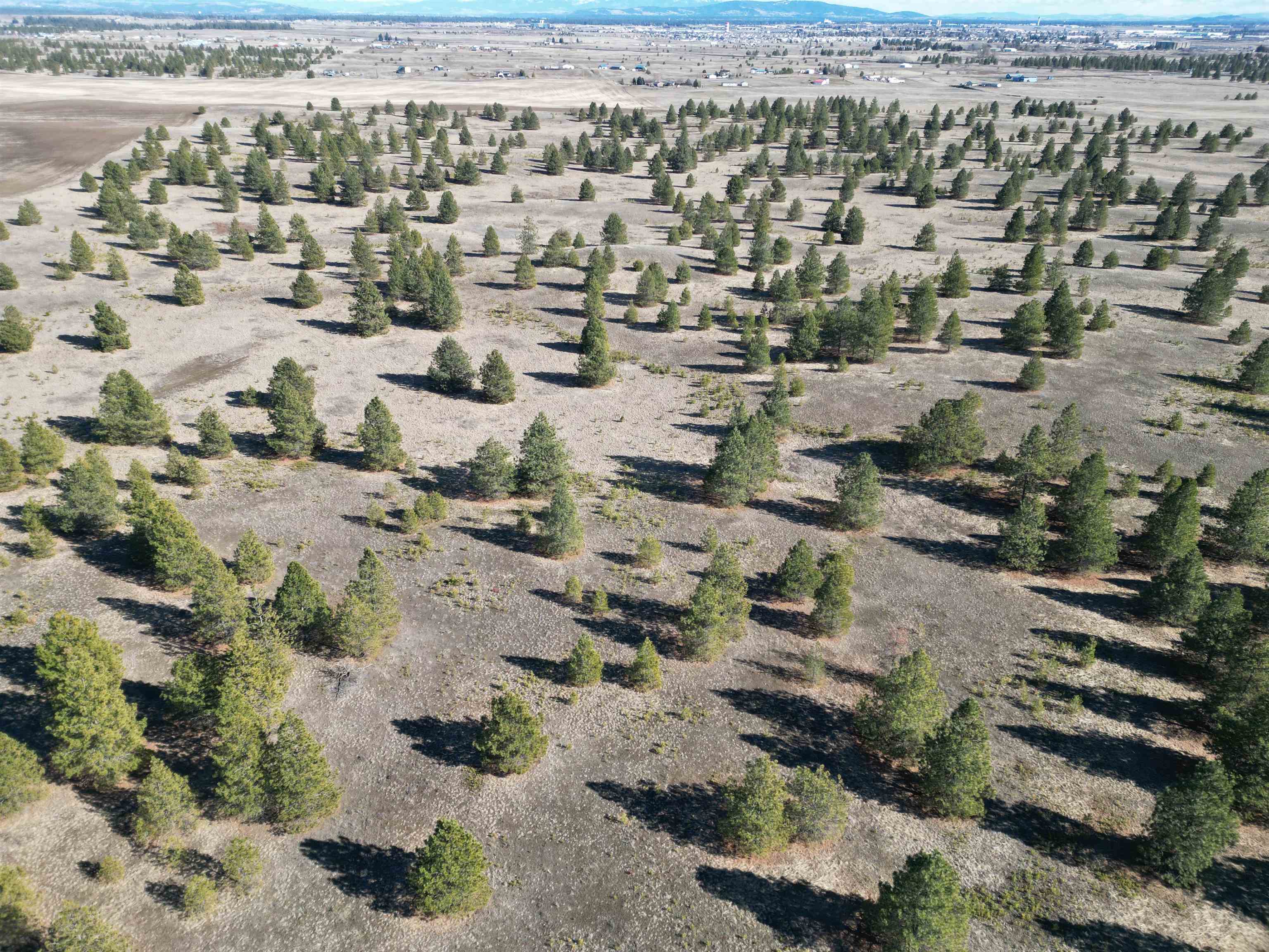 4-xx North Dover Road Medical Lake, WA 99022 - Photo 6 of 19