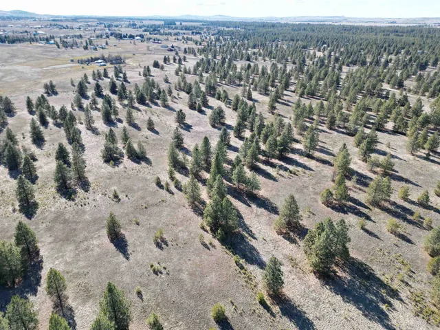 $1,500,000 | 4-xx North Dover Road, Medical Lake, WA 99022