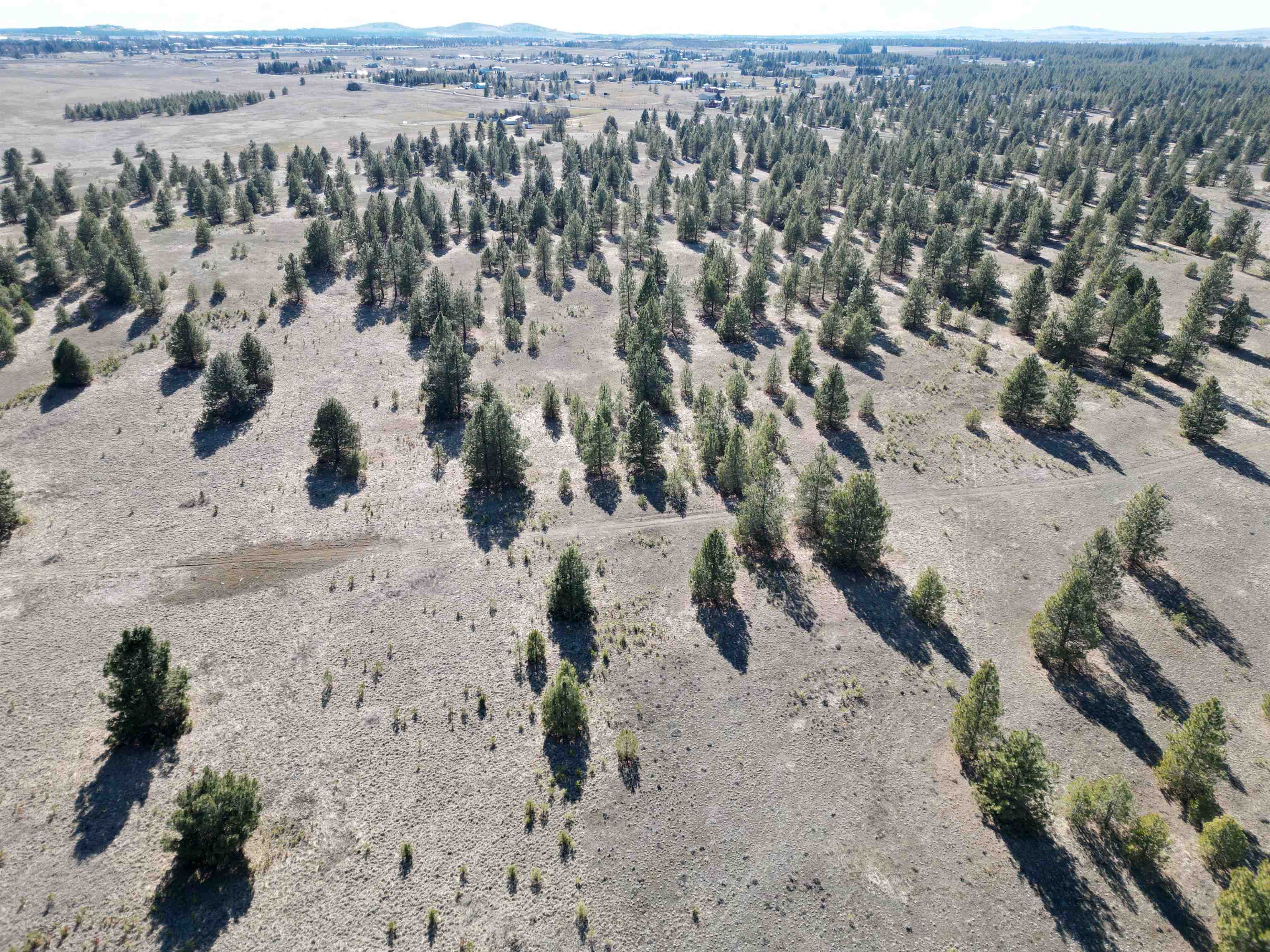 4-xx North Dover Road Medical Lake, WA 99022 - Photo 10 of 19