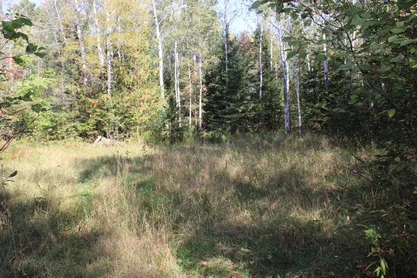 $475,000 | 9850 Elevere Road, Lachine, MI 49753
