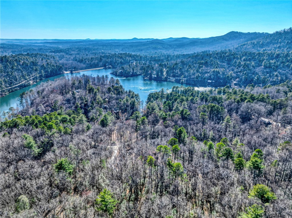 658 Chattooga Lake Road Mountain Rest, SC 29664 - Photo 8 of 43 Gallery Image 8