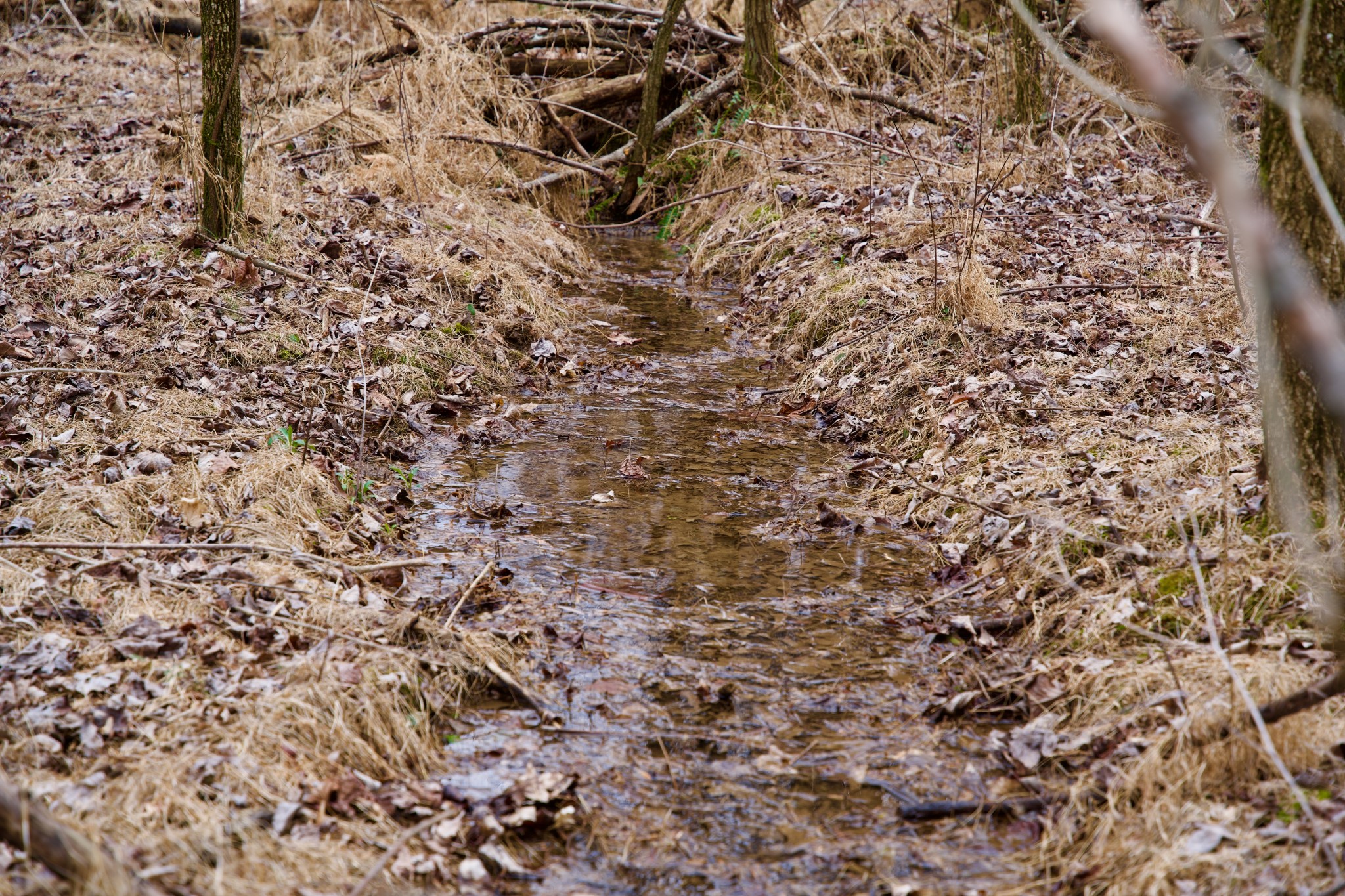 0 Madewell Road Spencer, TN 38585 - Photo 14 of 51