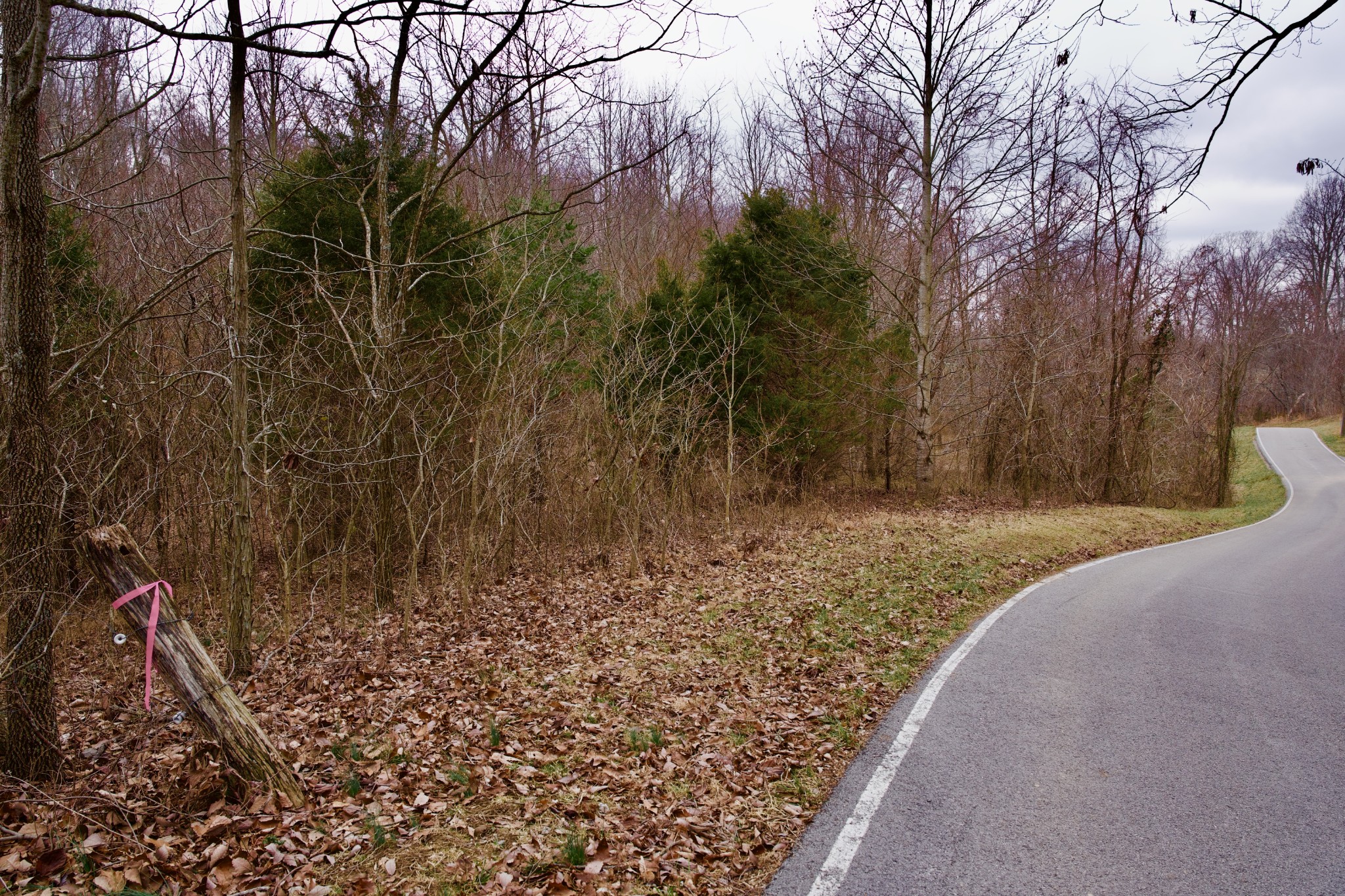 0 Madewell Road Spencer, TN 38585 - Photo 19 of 51