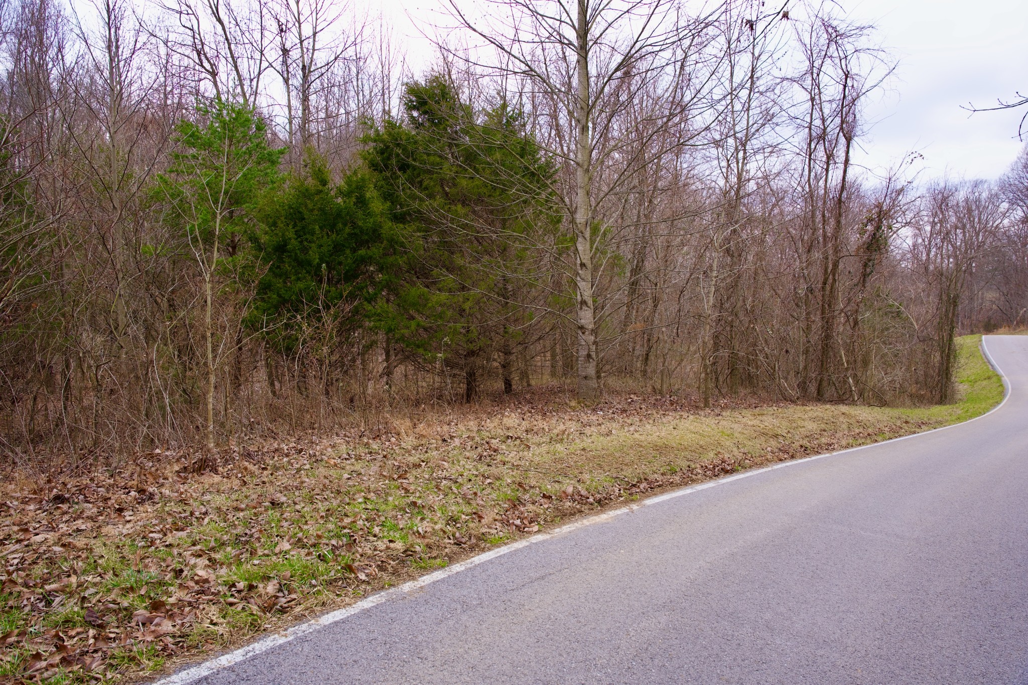 0 Madewell Road Spencer, TN 38585 - Photo 20 of 51