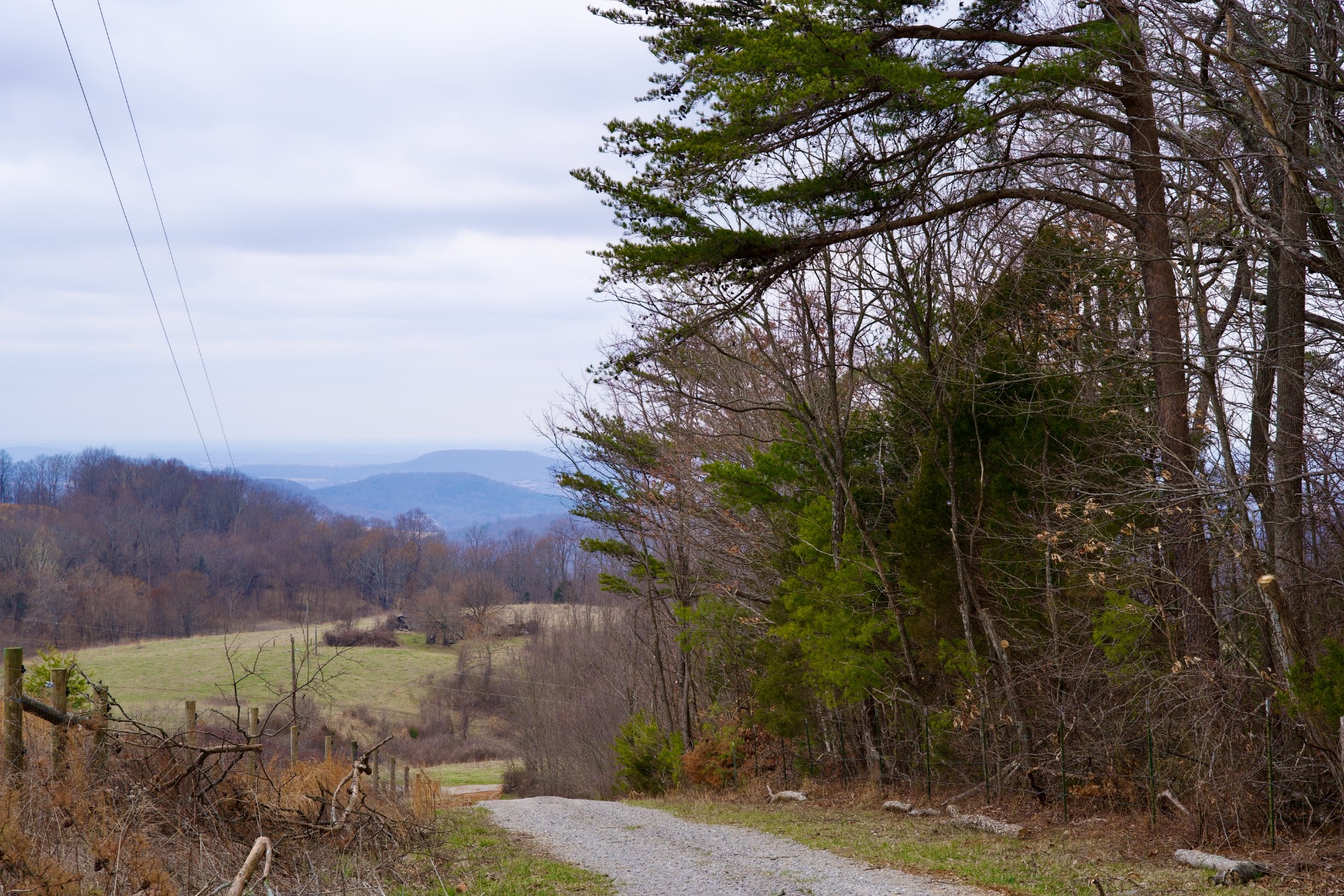 0 Madewell Road Spencer, TN 38585 - Photo 2 of 51