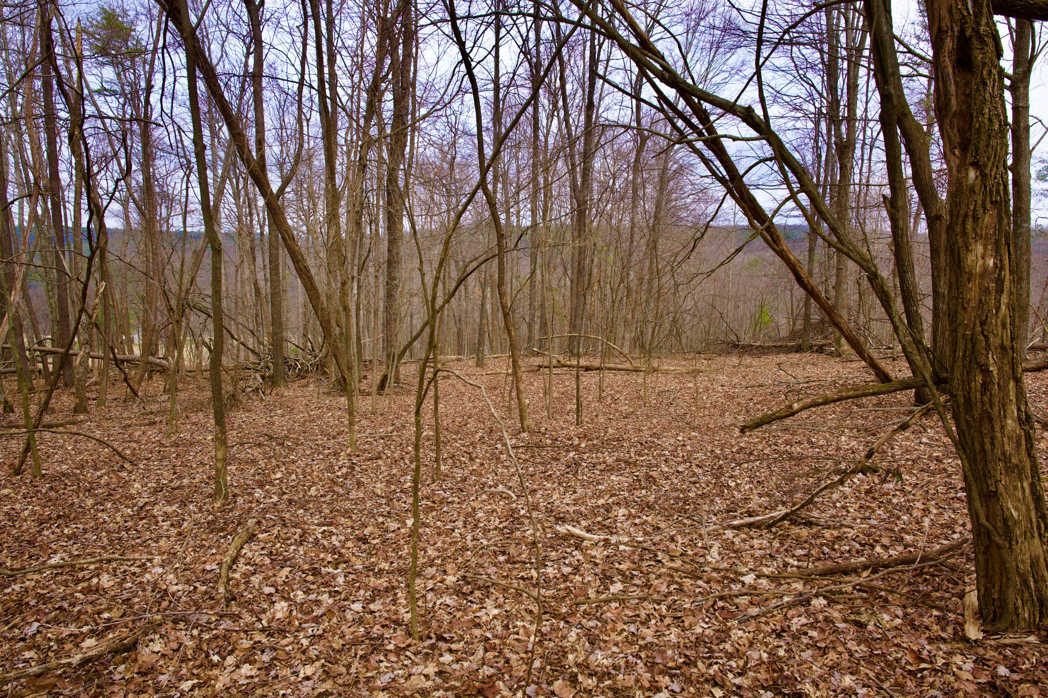 0 Madewell Road Spencer, TN 38585 - Photo 32 of 51