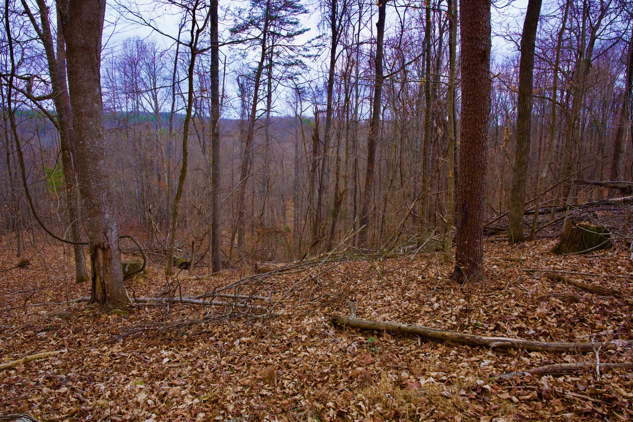 0 Madewell Road Spencer, TN 38585 - Photo 35 of 51