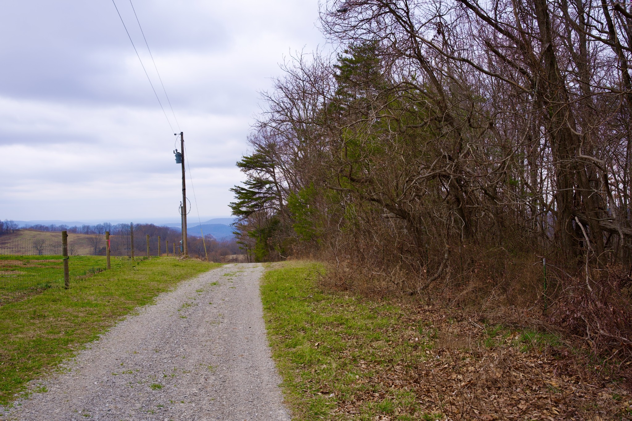 0 Madewell Road Spencer, TN 38585 - Photo 4 of 51