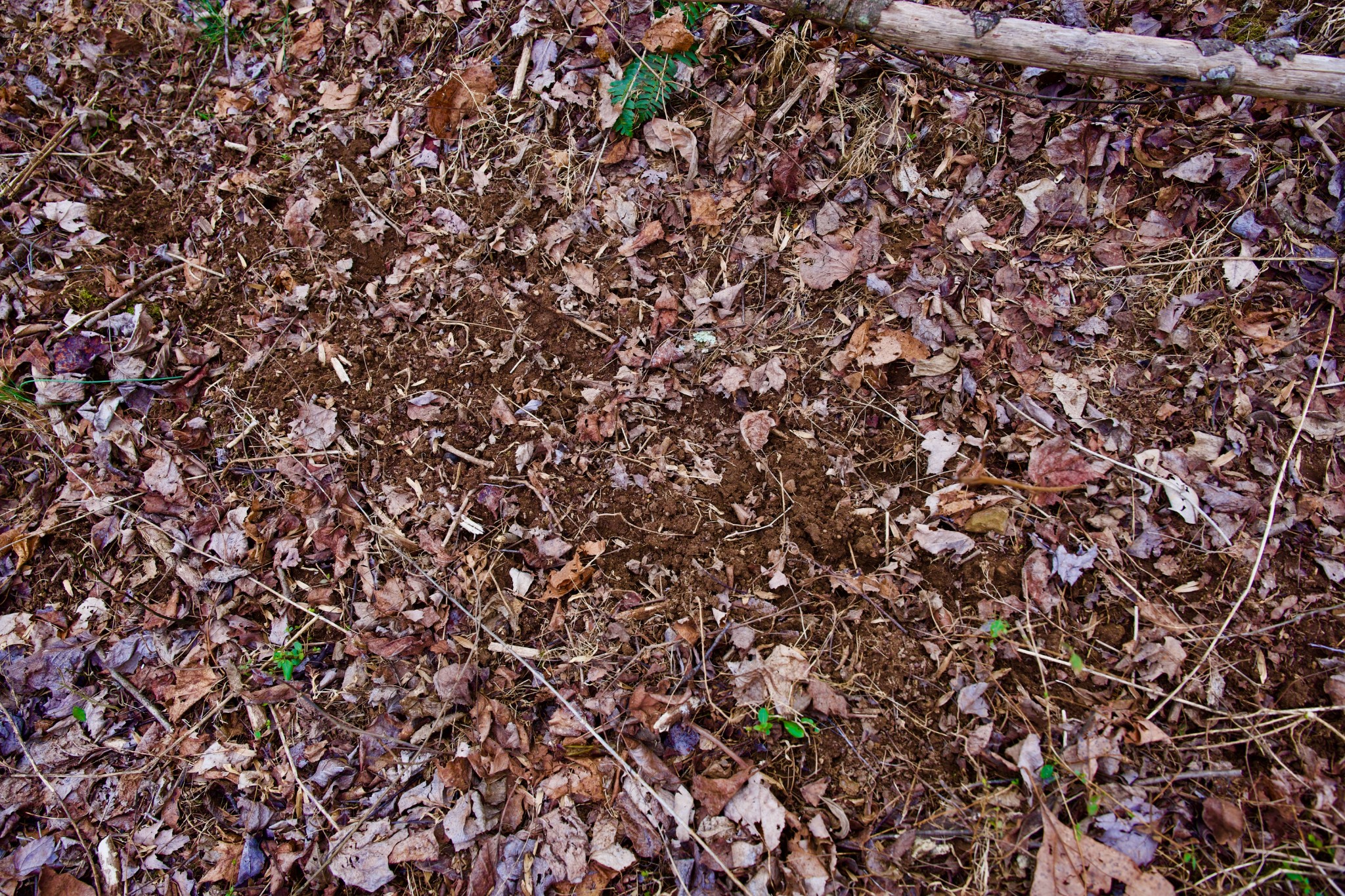 0 Madewell Road Spencer, TN 38585 - Photo 45 of 51