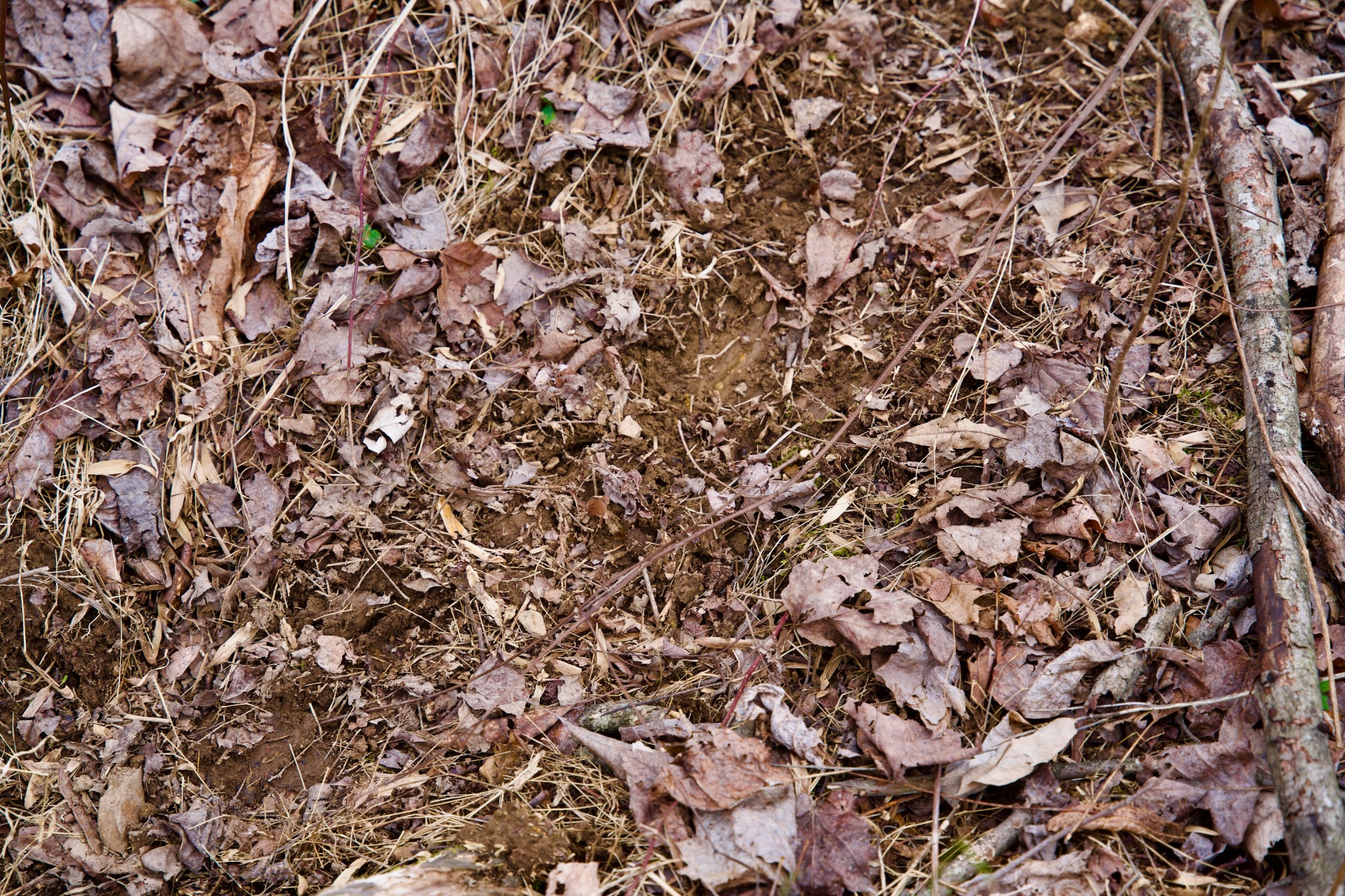 0 Madewell Road Spencer, TN 38585 - Photo 46 of 51