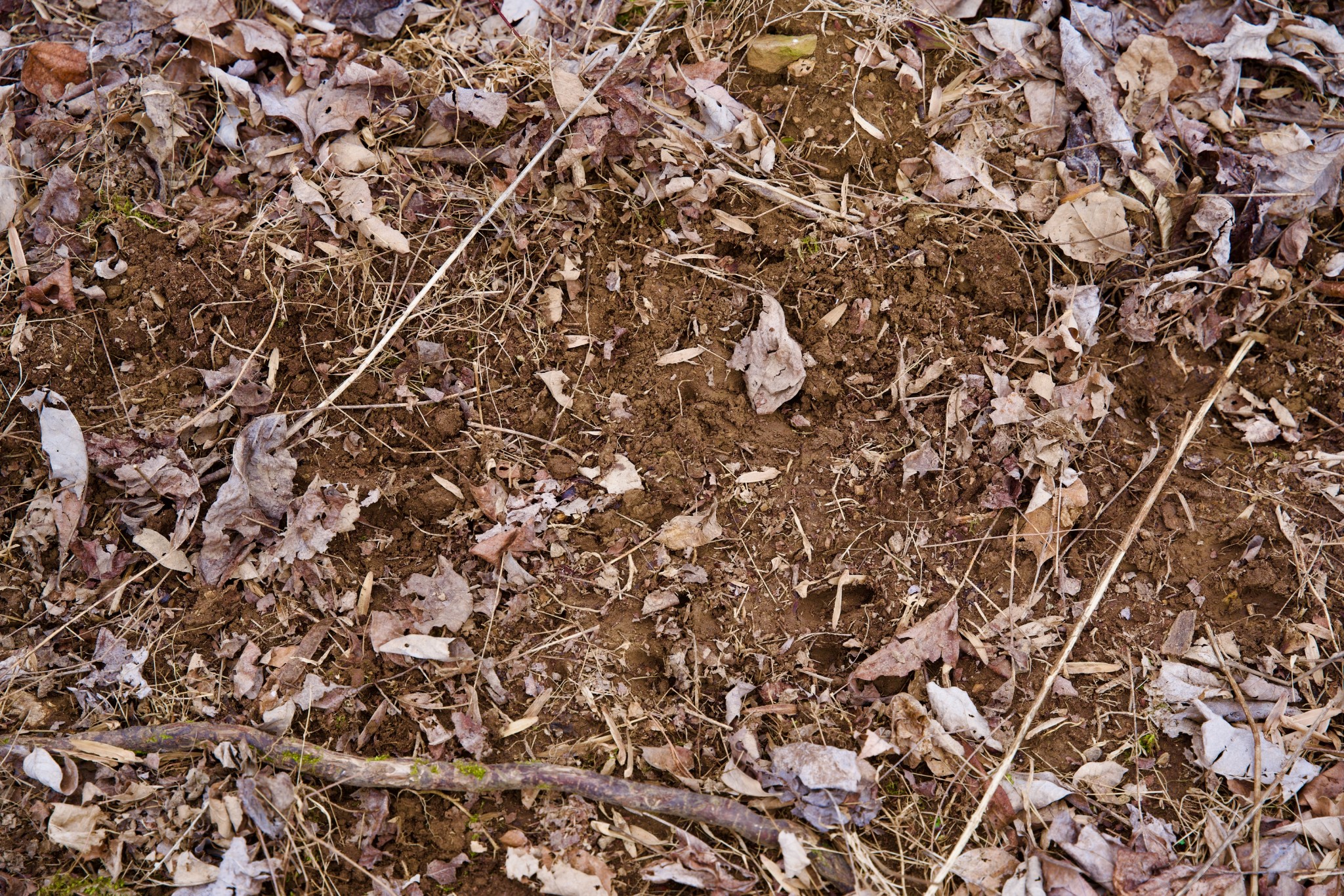 0 Madewell Road Spencer, TN 38585 - Photo 48 of 51