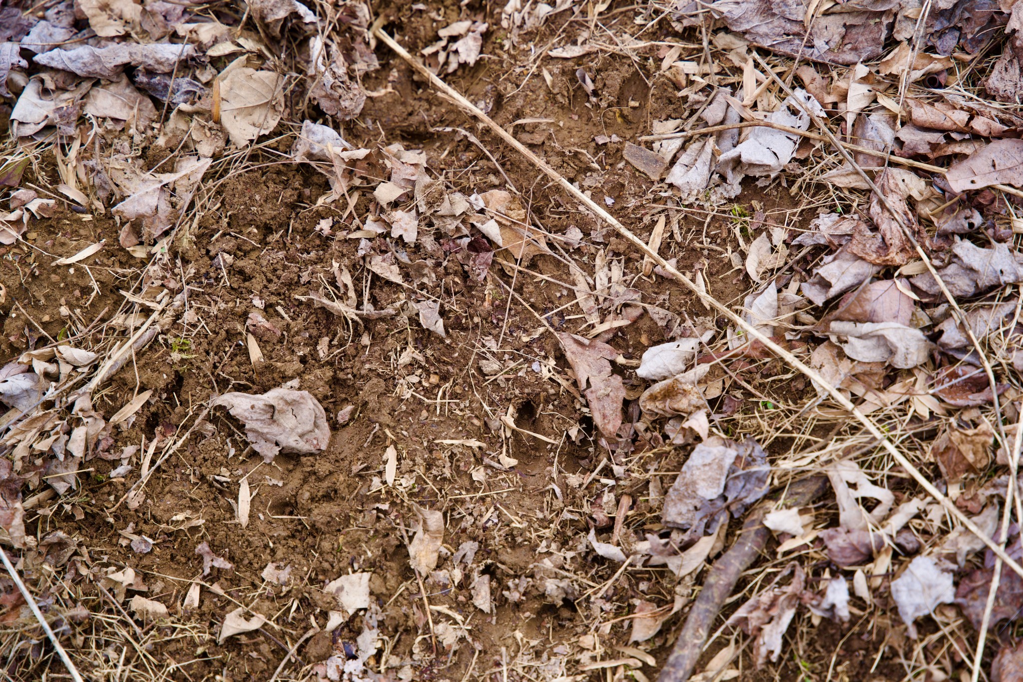 0 Madewell Road Spencer, TN 38585 - Photo 49 of 51