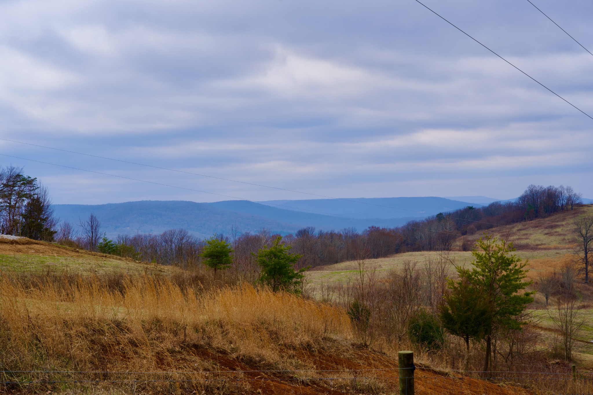 0 Madewell Road Spencer, TN 38585 - Photo 5 of 51