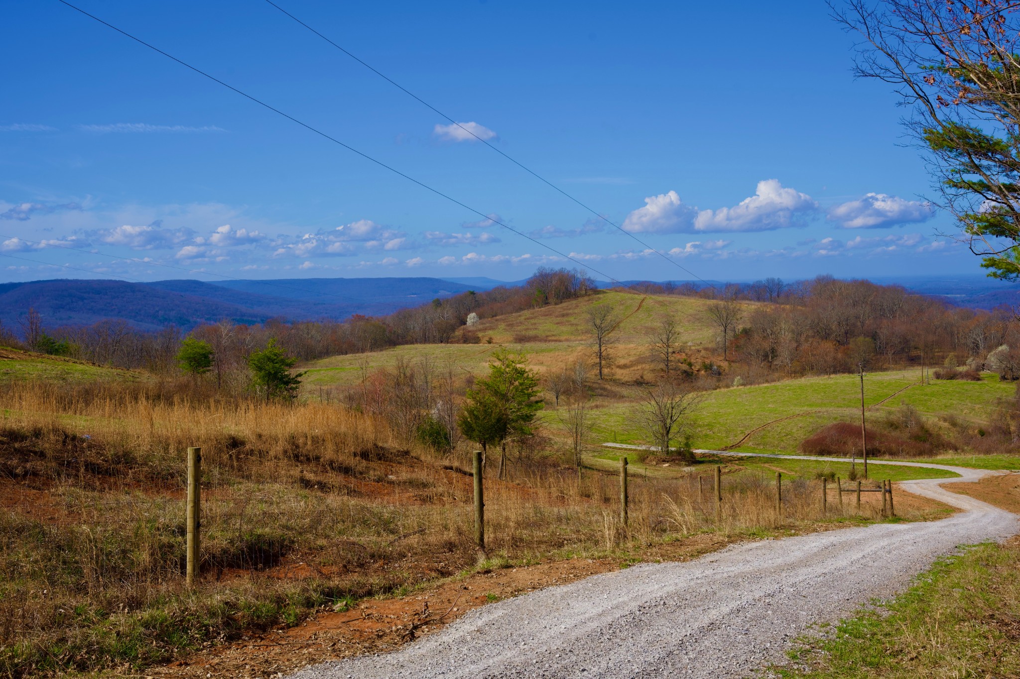 0 Madewell Road Spencer, TN 38585 - Photo 6 of 51