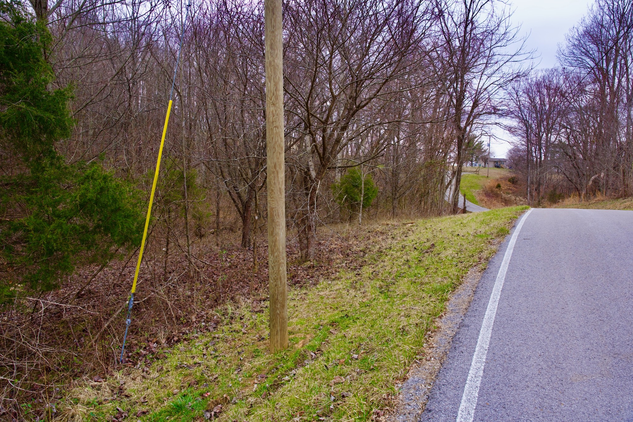 0 Madewell Road Spencer, TN 38585 - Photo 8 of 51