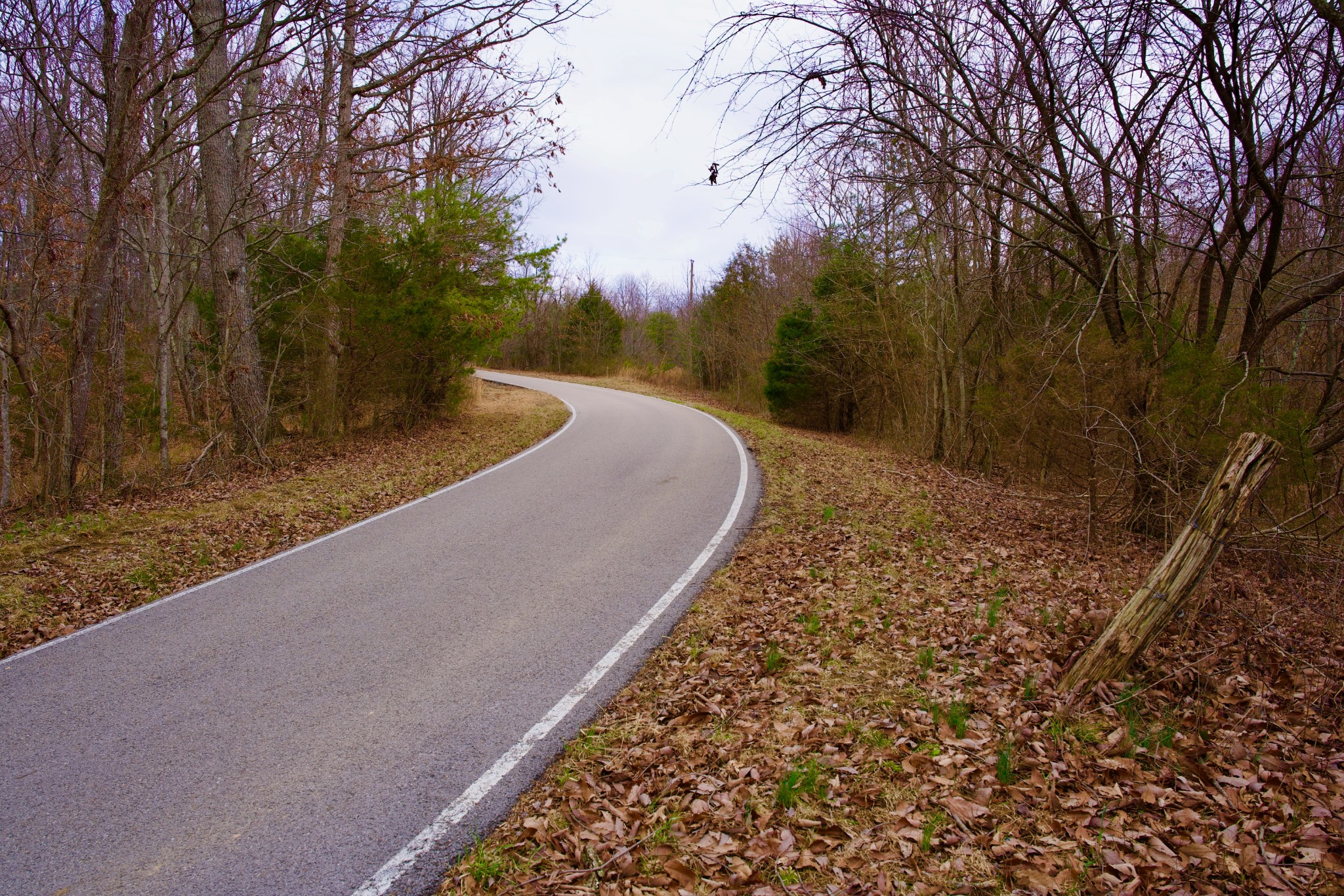 0 Madewell Road Spencer, TN 38585 - Photo 9 of 51