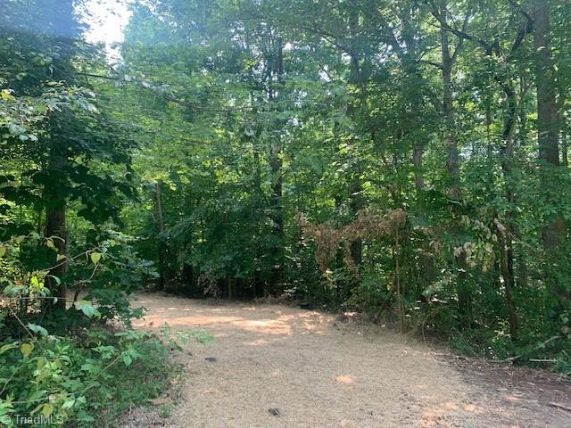 6790 Ridge Road Tobaccoville, NC 27050 - Photo 2 of 6 Gallery Image 2