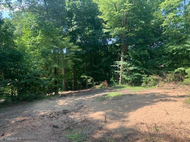 6790 Ridge Road Tobaccoville, NC 27050 - Photo 3 of 6 Gallery Image 3
