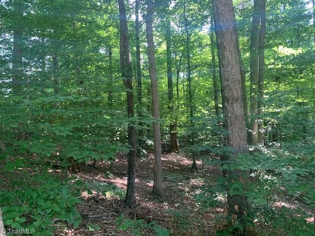 6790 Ridge Road Tobaccoville, NC 27050 - Photo 5 of 6 Gallery Image 5