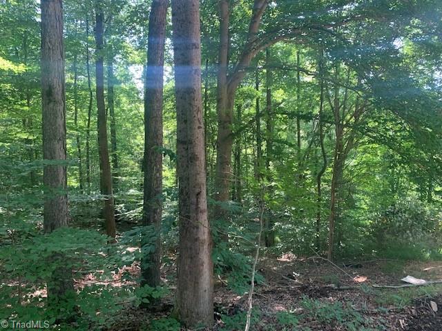 6790 Ridge Road Tobaccoville, NC 27050 - Photo 6 of 6 Gallery Image 6