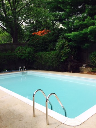 24 Tanglewood Road Needham, MA 02494 - Photo 7 of 8 a view of a garden