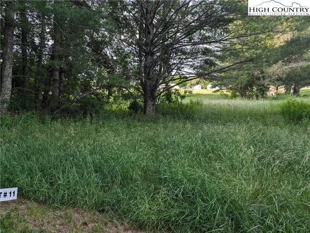 $18,000 | Lot 11 Sugar Creek Lane, Sparta, NC 28675