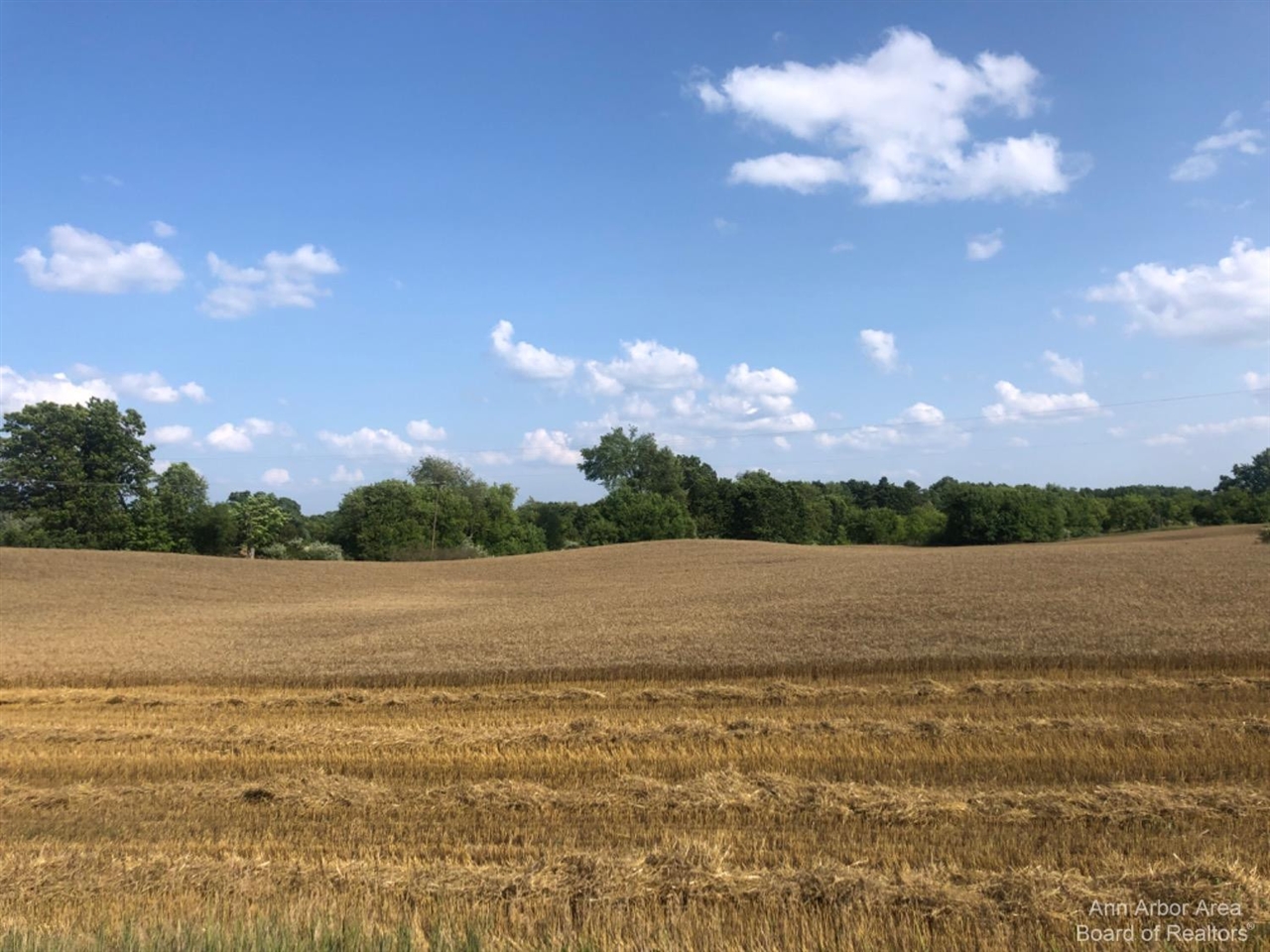 0 Sharon Valley Road Manchester, MI 48158 - Photo 2 of 2