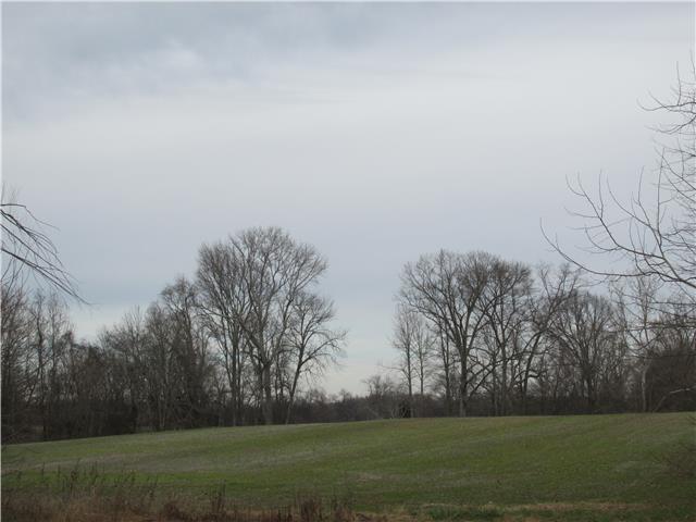 3 Webb Road Bell Buckle, TN 37020 - Photo 1 of 5 Gallery Image 1