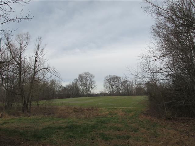 3 Webb Road Bell Buckle, TN 37020 - Photo 2 of 5 Gallery Image 2