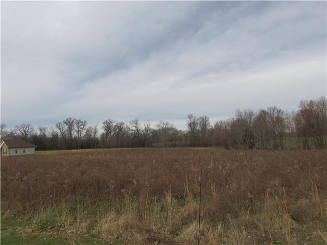 3 Webb Road Bell Buckle, TN 37020 - Photo 4 of 5 Gallery Image 4