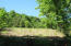 Ferguson Road Sneedville, TN 37869 - Photo 1 of 12 4816 (1)